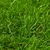 Vidaxl Umetna trava 1x2 m/30 mm zelena