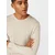 JACK & JONES Pulover JJEmil  progasto bež