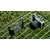 Tilta Full Camera Cage for Canon R50 V - Silver