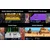 SWITCH DOUBLE DRAGON COLLECTION