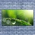 tulup.si Slika na platnu Grass nature dew drops 140x70 cm