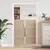 Ormarna vrata s vratima 2 pcs Prirodna 49,5 x 2,1 x 110 cm