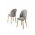 Hanah Home Set stolica Mara, 44x90x42 cm, 2 komada, Zlatno-sive boje