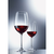 ČAŠA ZA CRNO VINO 545 ml