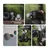 FALCAM F22 Quick Release Mushroom Handle Kit