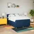 Vidaxl Box spring postelja z vzmetnico modra 160x200 cm blago