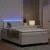 LED Box Spring Krevet s uzglavljem Krema i bijela 120 x 190 cm