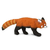 Safari Rdeča panda