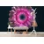 Tapeta purpurna gerbera - 343x231