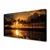 tulup.si Slika na platnu Drevo sun landscape 120x60 cm