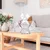 CONNETIX® Clear Shape Expansion Pack magnetna gradbena igrača 24 kos