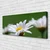 tulup.si Slika na platnu Daisy na wall 120x60 cm