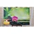 Slika Feng Shui harmonija - 60x40