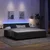 Vidaxl LED Box Spring Postelja z LED trakami Črna 200 x 200 cm Žamet