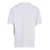Mens T-shirt UC College Logo white
