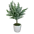 shumee Lončnica - evkaliptus 58 cm