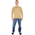 U.S. POLO ASSN. Pulover  svetlo rjava / temno rjava