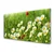 tulup.si Steklena slika Daisy rastlin narava 125x50 cm 2 obešalnika