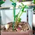 SupportPlant, podpora za rastline (10+10 GRATIS)