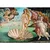 Trefl Puzzle The Birth of Venus 1000 delova