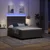 Vidaxl LED Box Spring Postelja Svetlo siva in bela. 160 x 200 cm