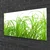 tulup.si Slika na steklu Grass nature rastlin 120x60 cm 2 obešalnika