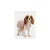 DOGGYDOLLY HALJINICA za pse, 000199, velicina 35-40 cm