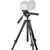 Joby stativ Compact Advanced Kit (z nosilcem za telefon)