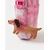 Monsoon Children Privezak Sausage dog