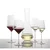Zwiesel Glas kozarec za martini Belfesta 343 ml (6 kos)