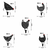 WALLXPERT Chickens