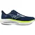 Mizuno patike Wave Rider 29 za muškarce