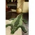 Doing Goods Volnena preproga Coolio Crocodile 202 x 89 cm