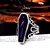 Prstan Purple Coffin - SS8-501R