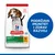 Hrana za pse Hills Science Plan MEDIUM PUPPY s Jagnjetinom i Pirinčem 14 kg