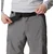 Columbia SILVER RIDGE UTILITY CARGO SHORT, hlače, siva 2030744