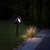 LED solarna lampa JOKER LED/1,2V 100 mAh 4000K 31,5 cm IP44 crna