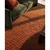 Preproga v barvi terakote 200x290 cm – Asiatic Carpets