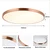 Immax NEO 07324L-LED prigušiva stropna svetiljka SEMPLICI 128W/230V prečnik 100 cm Wi-Fi Tuya zlatna + daljinski upravljač