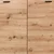 Cipelarnik Boot 2