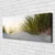 tulup.si Slika na platnu Pesek grass landscape 120x60 cm