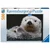 Ravensburger Puzzle Cute little otter 500 kosov