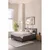 Siva boxspring postelja s prostorom za shranjevanje 160x200 cm Elva Bold Line – Bonami Selection