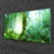 tulup.si Steklena slika Forest moss narava 120x60 cm 2 obešalnika