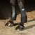 HH ščitniki Galop