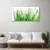 tulup.si Steklena slika Grass on wall 100x50 cm 4 obešalnika