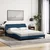 Krevet s madracem Dover plavi 160x200 cm od tkanine