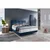 Carryhome POSTELJA BOXSPRING 160 cm x 200 cm , tekstil temno modra