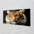 tulup.si Steklena slika Tiger 120x60 cm 2 obešalnika