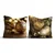 Aberto Design Set ukrasnih jastučnica PLW-NWYR26 - 20, 43x43 cm, 2 komada